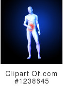 Anatomy Clipart #1238645 by KJ Pargeter
