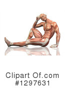 Anatomy Clipart #1297631 by KJ Pargeter