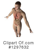 Anatomy Clipart #1297632 by KJ Pargeter