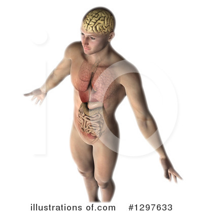 Royalty-Free (RF) Anatomy Clipart Illustration by KJ Pargeter - Stock Sample #1297633