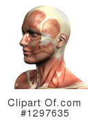 Anatomy Clipart #1297635 by KJ Pargeter