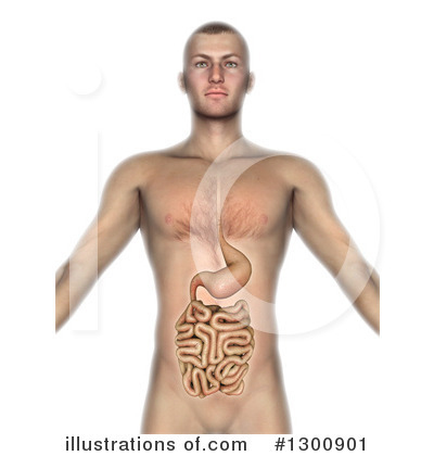 Royalty-Free (RF) Anatomy Clipart Illustration by KJ Pargeter - Stock Sample #1300901
