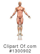 Anatomy Clipart #1300902 by KJ Pargeter