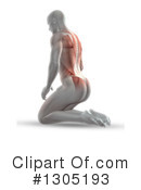 Anatomy Clipart #1305193 by KJ Pargeter