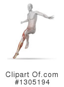 Anatomy Clipart #1305194 by KJ Pargeter