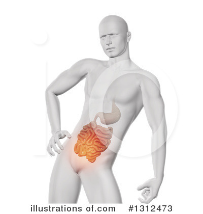 Royalty-Free (RF) Anatomy Clipart Illustration by KJ Pargeter - Stock Sample #1312473