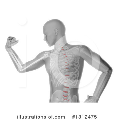 Spine Clipart #1312475 by KJ Pargeter