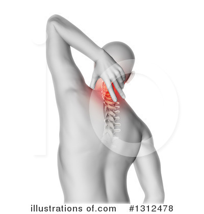 Spine Clipart #1312478 by KJ Pargeter