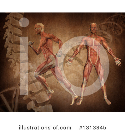 Royalty-Free (RF) Anatomy Clipart Illustration by KJ Pargeter - Stock Sample #1313845