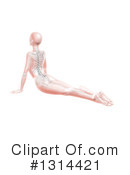 Anatomy Clipart #1314421 by KJ Pargeter