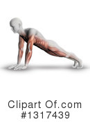 Anatomy Clipart #1317439 by KJ Pargeter
