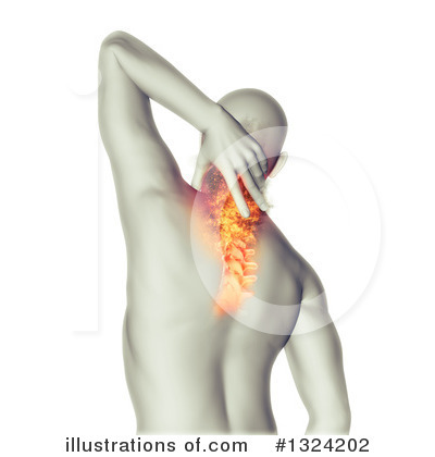 Spine Clipart #1324202 by KJ Pargeter