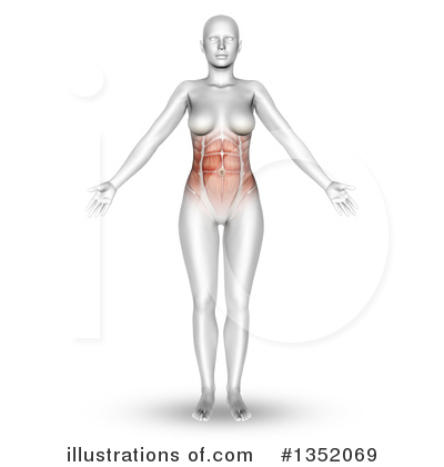 Royalty-Free (RF) Anatomy Clipart Illustration by KJ Pargeter - Stock Sample #1352069