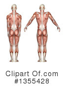 Anatomy Clipart #1355428 by KJ Pargeter