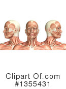 Anatomy Clipart #1355431 by KJ Pargeter