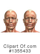 Anatomy Clipart #1355433 by KJ Pargeter