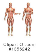 Anatomy Clipart #1356242 by KJ Pargeter