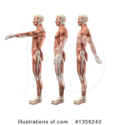 Royalty-Free (RF) Anatomy Clipart Illustration by KJ Pargeter - Stock Sample #1356243
