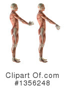 Anatomy Clipart #1356248 by KJ Pargeter