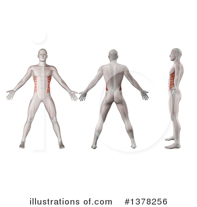 Royalty-Free (RF) Anatomy Clipart Illustration by KJ Pargeter - Stock Sample #1378256