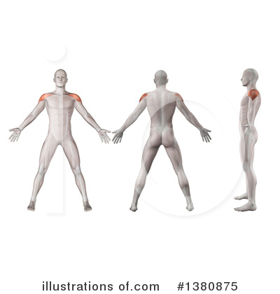 Royalty-Free (RF) Anatomy Clipart Illustration by KJ Pargeter - Stock Sample #1380875