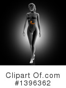 Anatomy Clipart #1396362 by KJ Pargeter