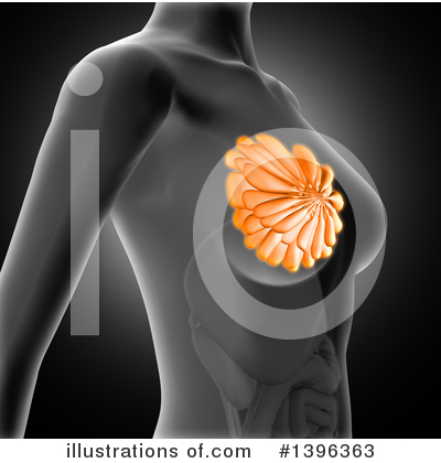 Breast Clipart #1396363 by KJ Pargeter