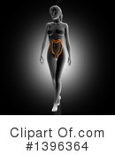 Anatomy Clipart #1396364 by KJ Pargeter