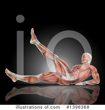 Human Anatomy Clipart #1396368 by KJ Pargeter