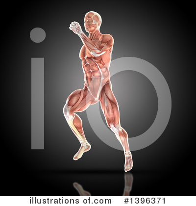 Human Anatomy Clipart #1396371 by KJ Pargeter