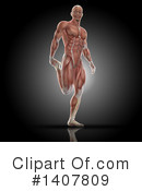 Anatomy Clipart #1407809 by KJ Pargeter