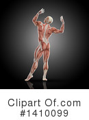 Anatomy Clipart #1410099 by KJ Pargeter