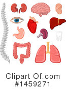 Anatomy Clipart #1459271 by Vector Tradition SM
