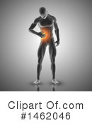 Anatomy Clipart #1462046 by KJ Pargeter