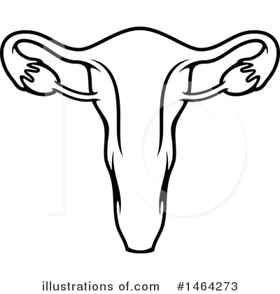 Uterus Clipart #1464273 by Vector Tradition SM