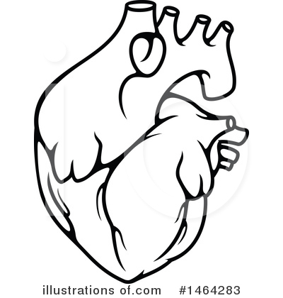 Human Heart Clipart #1464283 by Vector Tradition SM
