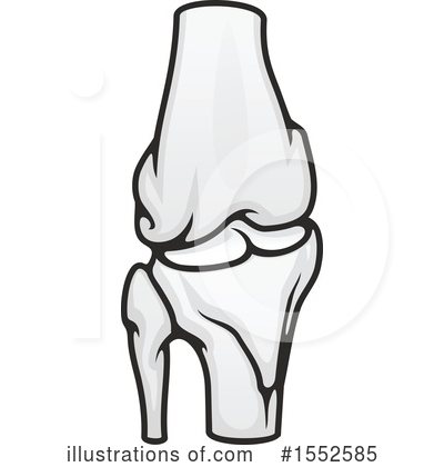 Royalty-Free (RF) Anatomy Clipart Illustration by Vector Tradition SM - Stock Sample #1552585