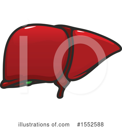 Royalty-Free (RF) Anatomy Clipart Illustration by Vector Tradition SM - Stock Sample #1552588