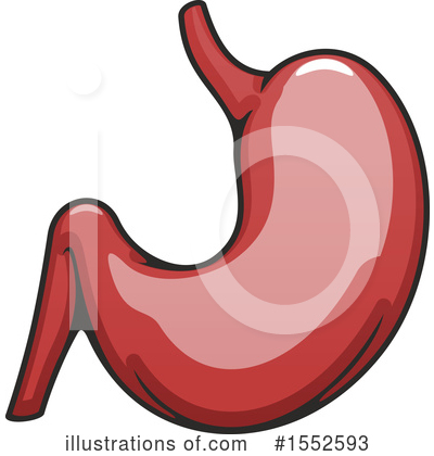 Stomach Clipart #1552593 by Vector Tradition SM