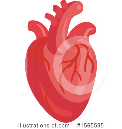 Human Heart Clipart #1565595 by Vector Tradition SM