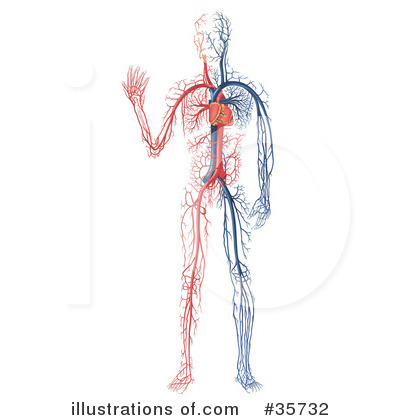 Royalty-Free (RF) Anatomy Clipart Illustration by dero - Stock Sample #35732