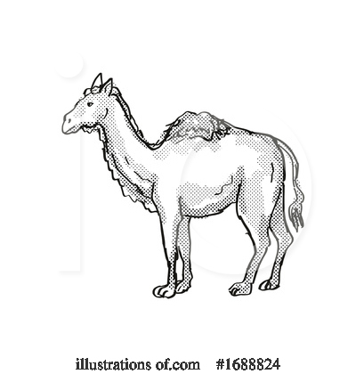 Camel Clipart #1688824 by patrimonio