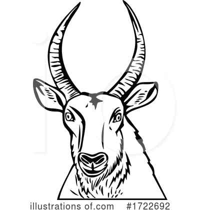 Antelope Clipart #1722692 by patrimonio
