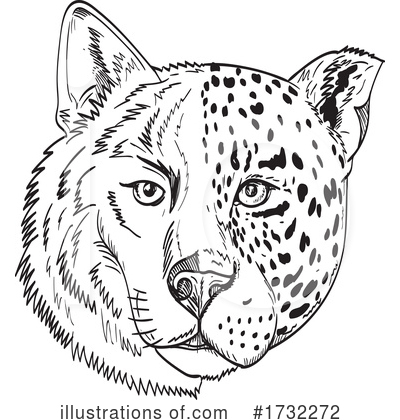 Leopard Clipart #1732272 by patrimonio