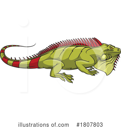 Iguana Clipart #1807803 by Vector Tradition SM