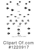 Animal Tracks Clipart #1220917 by Picsburg