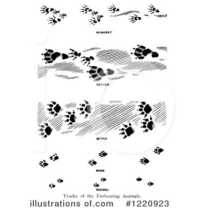 Royalty-Free (RF) Animal Tracks Clipart Illustration by Picsburg - Stock Sample #1220923