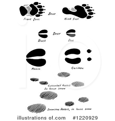 Royalty-Free (RF) Animal Tracks Clipart Illustration by Picsburg - Stock Sample #1220929