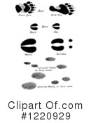 Animal Tracks Clipart #1220929 by Picsburg