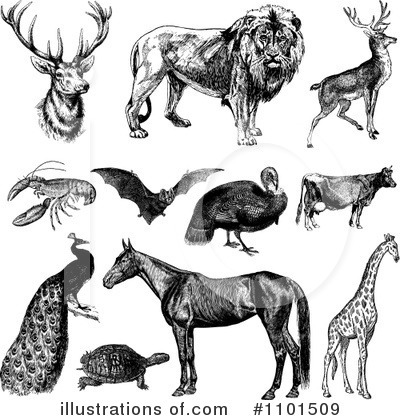 Royalty-Free (RF) Animals Clipart Illustration by BestVector - Stock Sample #1101509
